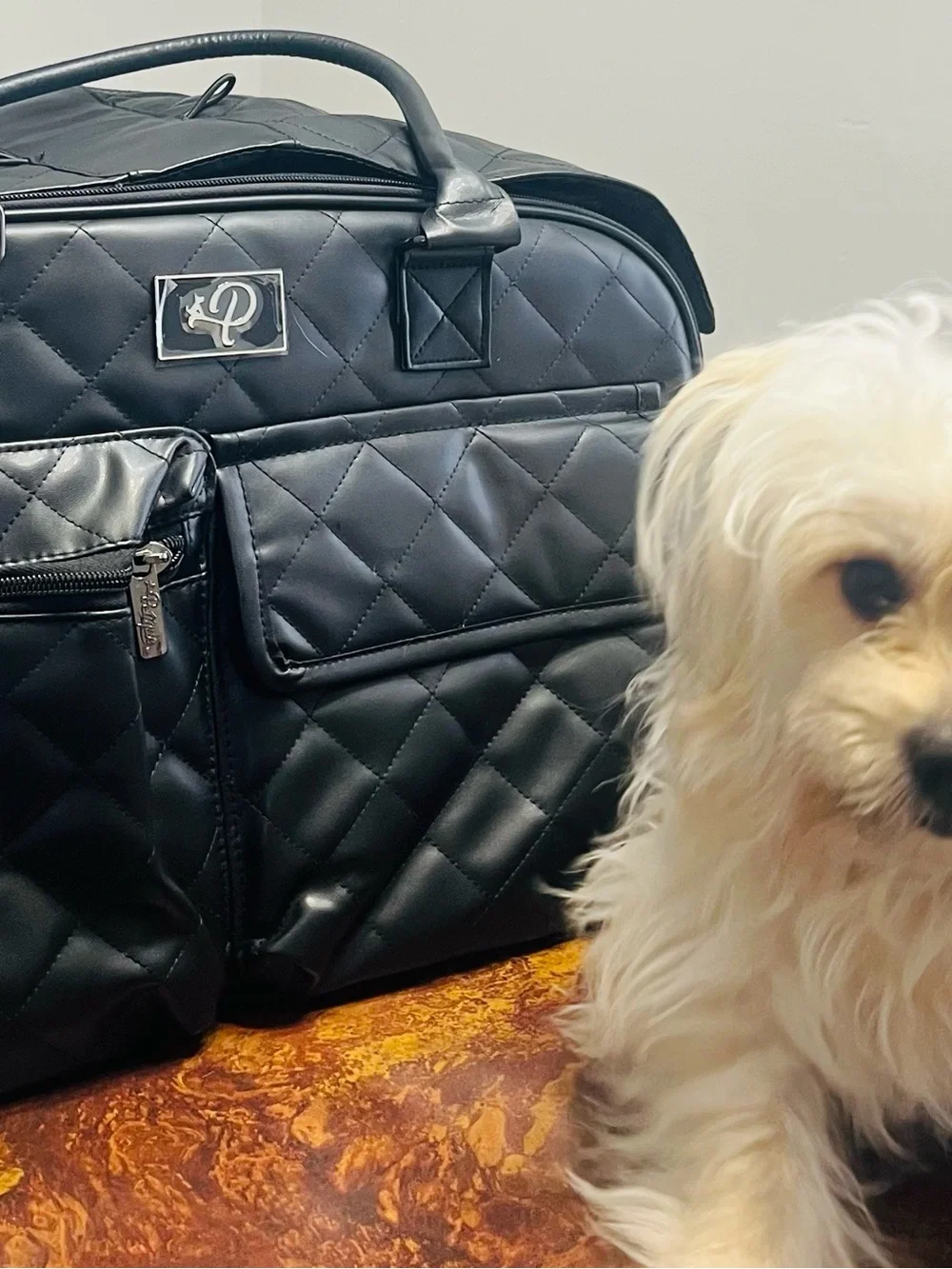 NIB Petique The Lux Pet Carrier - Luxury Vegan Leather - PRICE FIRM